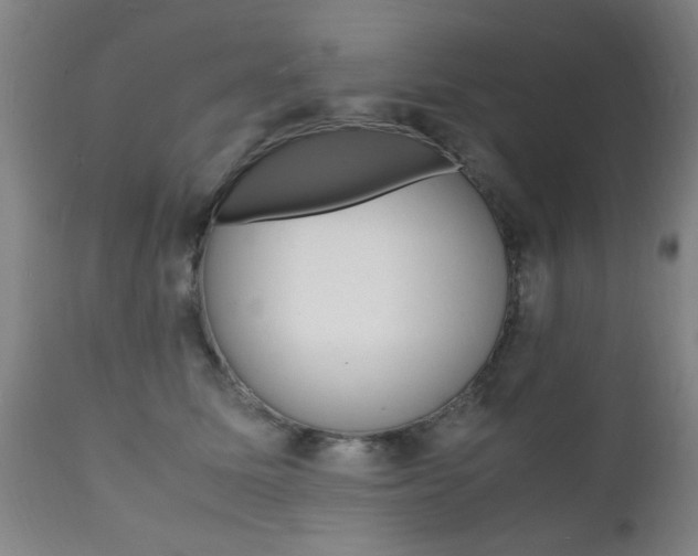 X0000112150611200908071004