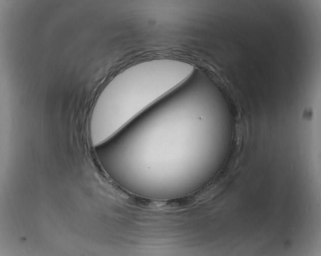 X0000112150613200908071004