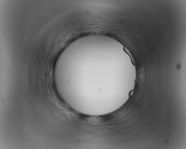 X0000112150615200908071004