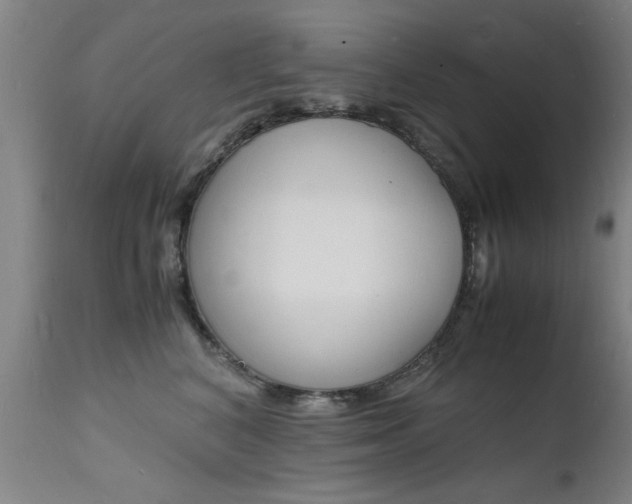 X0000112150616200908071004