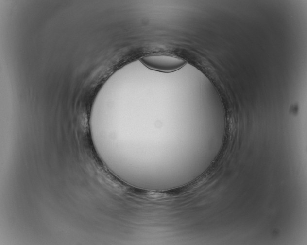 X0000112150617200908071004