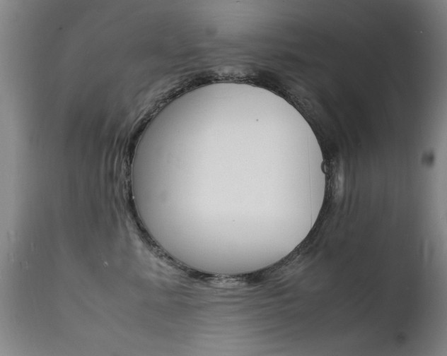 X0000112150619200908071004
