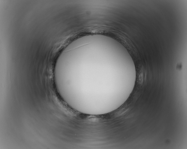 X0000112150620200908071004