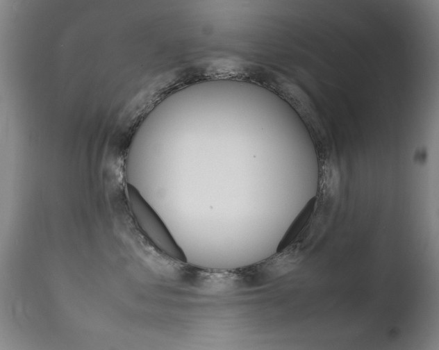 X0000112150621200908071004