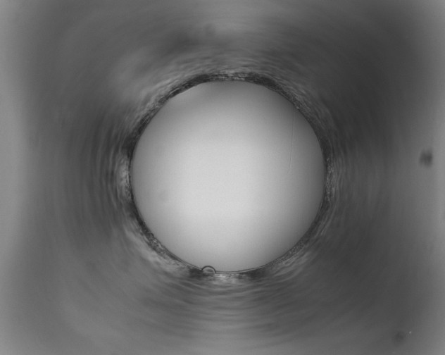 X0000112150623200908071004