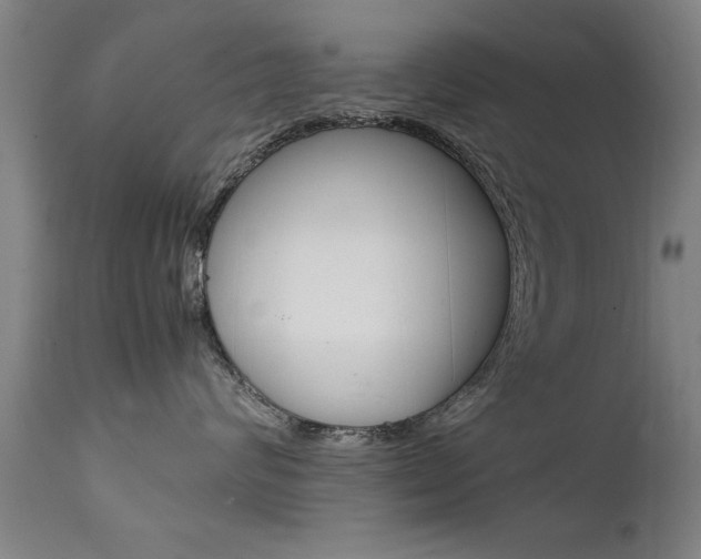 X0000112150624200908071004