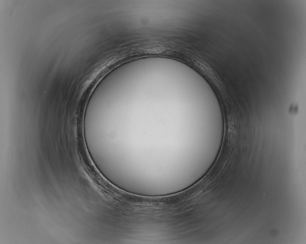 X0000112150626200908071003