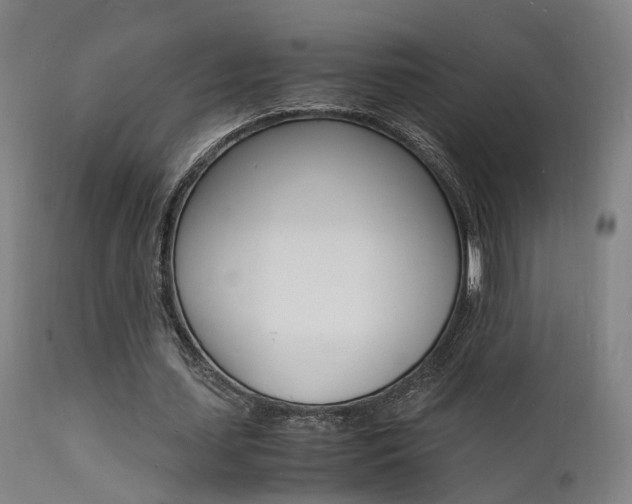 X0000112150627200908071003