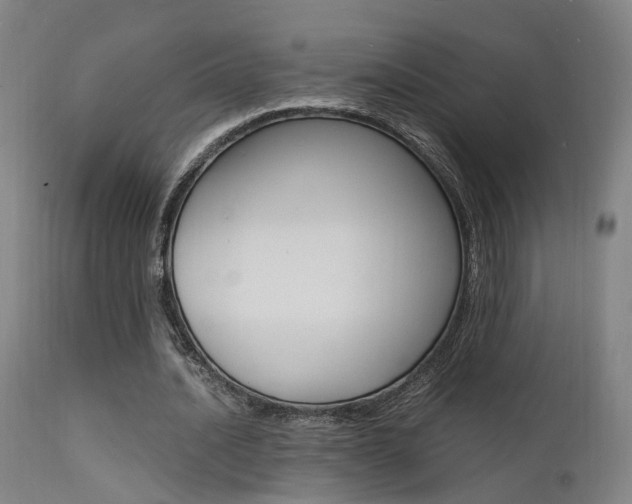 X0000112150628200908071003
