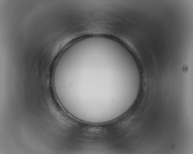 X0000112150631200908071003