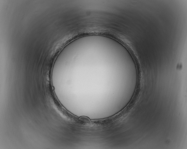 X0000112150633200908071004