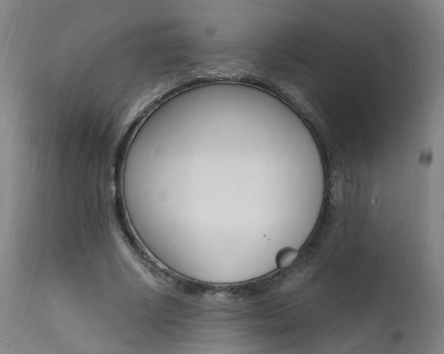 X0000112150634200908071004