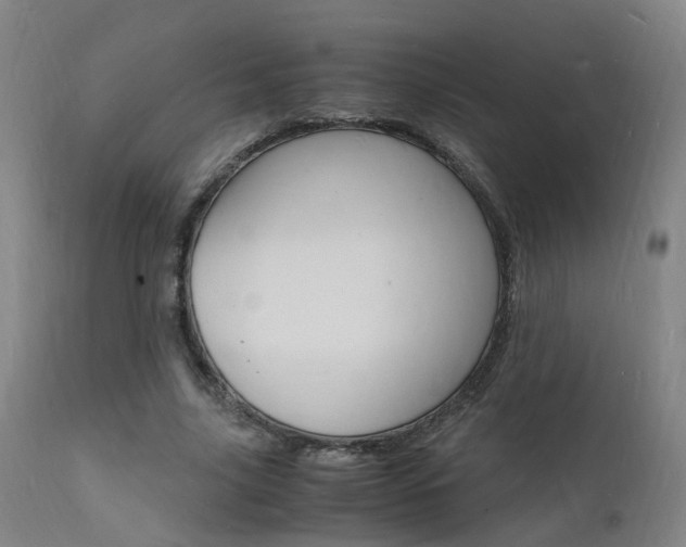 X0000112150635200908071004