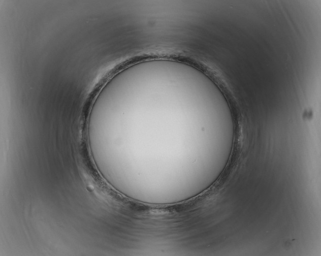 X0000112150636200908071004