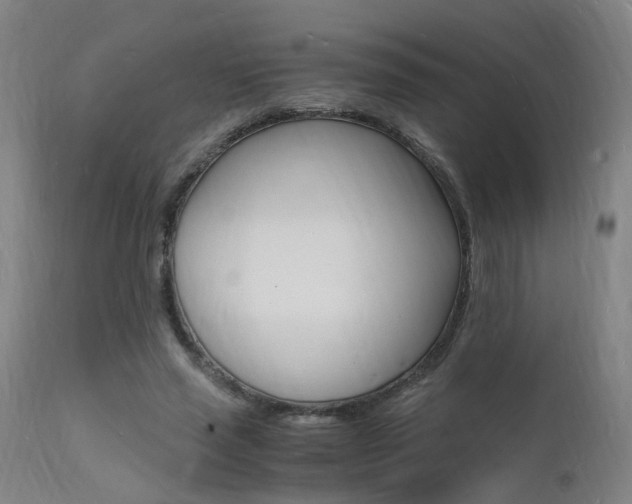 X0000112150637200908071004