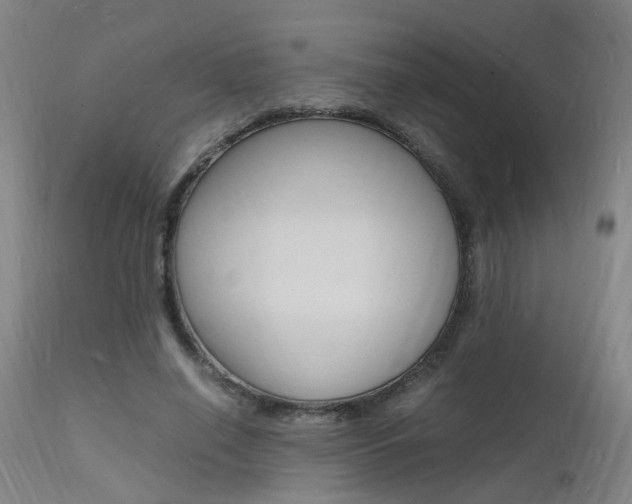 X0000112150638200908071004