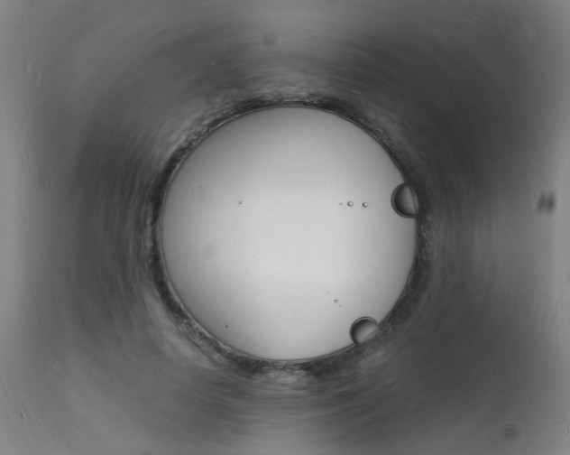 X0000112150642200908071004