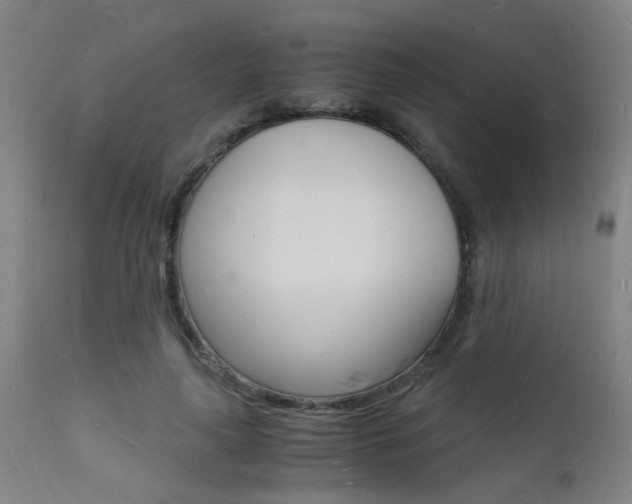 X0000112150643200908071004