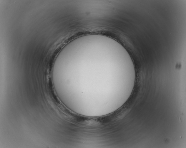 X0000112150644200908071004