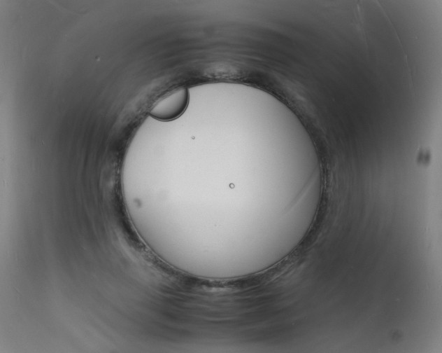 X0000112150645200908071004