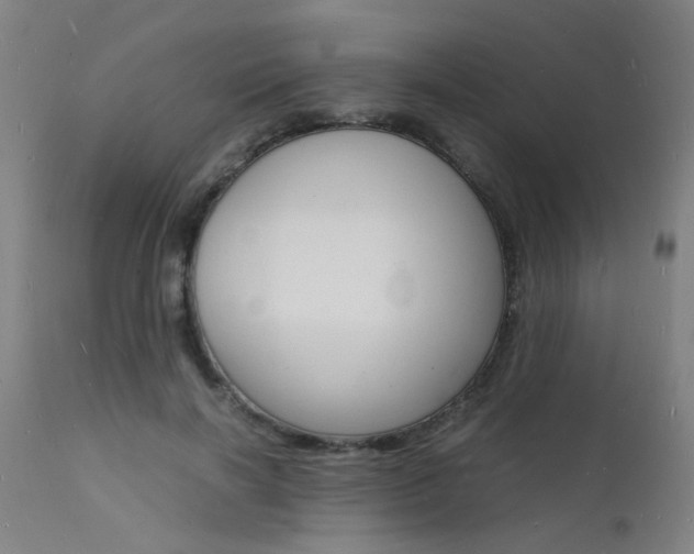X0000112150646200908071004