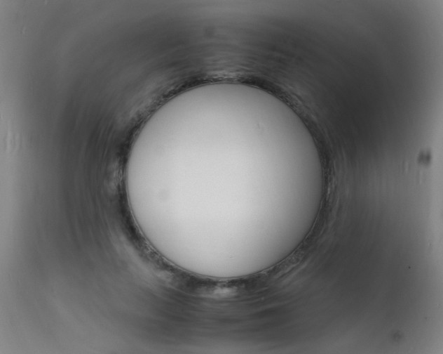 X0000112150647200908071004