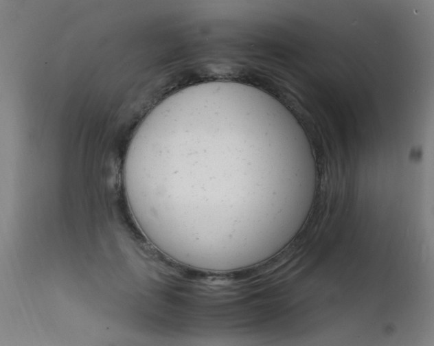 X0000112150651200908071004