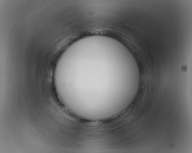 X0000112150652200908071004
