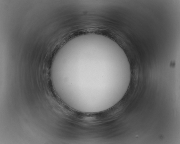 X0000112150653200908071004