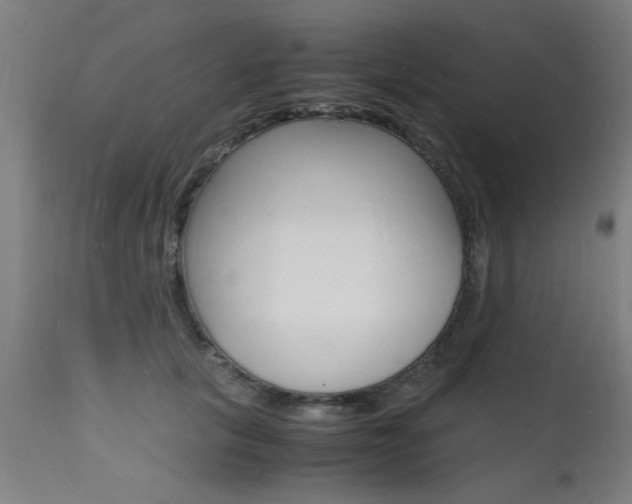 X0000112150657200908071004