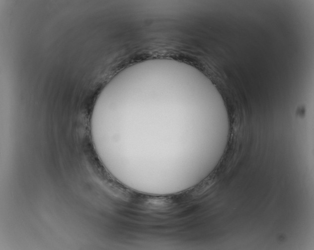X0000112150659200908071004