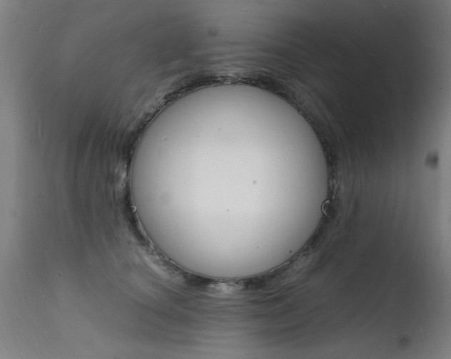 X0000112150660200908071004