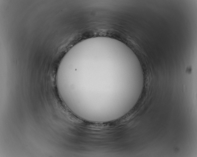 X0000112150661200908071004