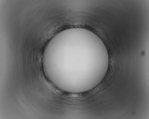X0000112150662200908071004