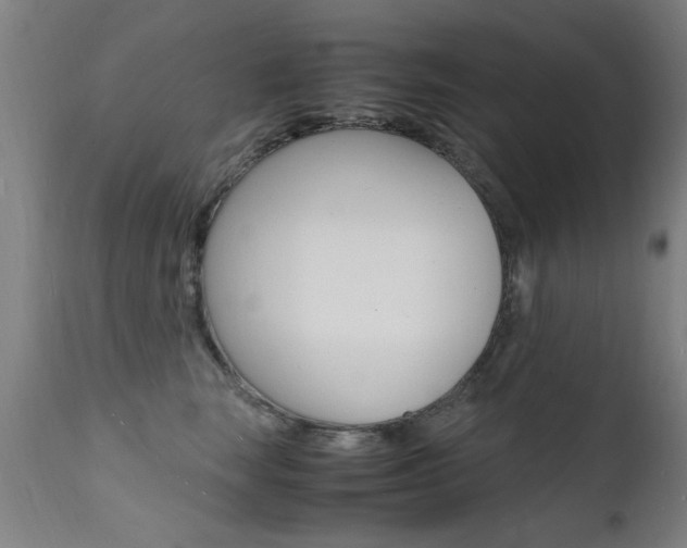 X0000112150663200908071004
