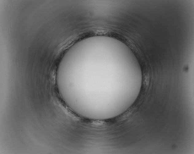 X0000112150666200908071004