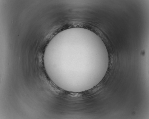 X0000112150667200908071004