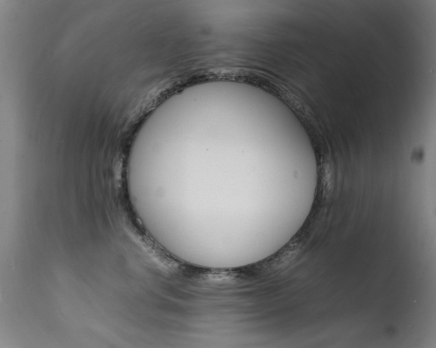 X0000112150668200908071004