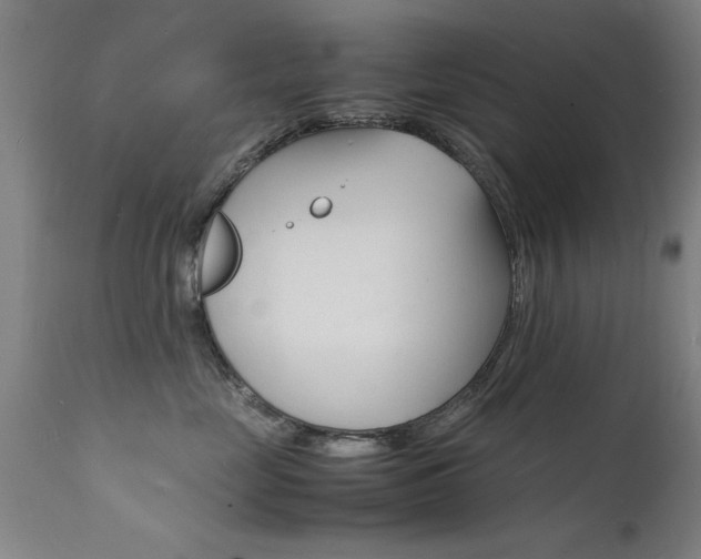 X0000112150669200908071004