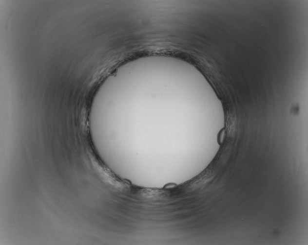 X0000112150670200908071004