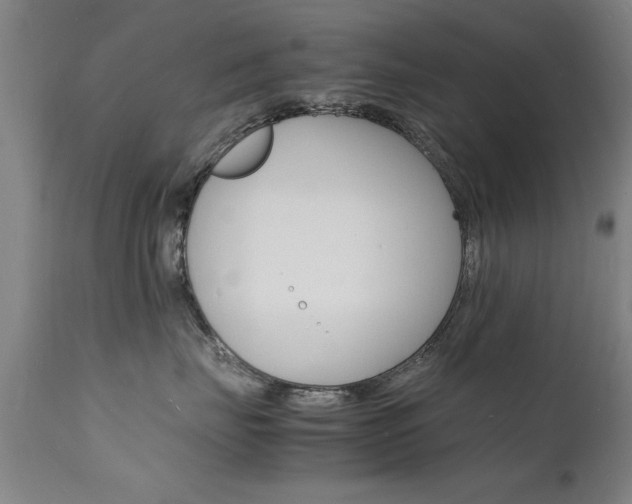 X0000112150671200908071004