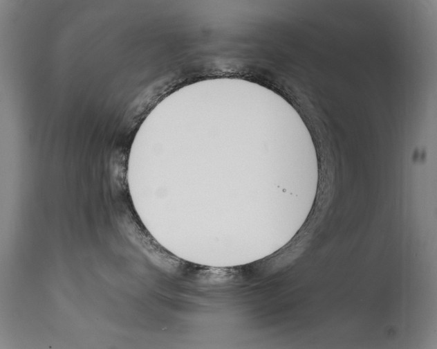 X0000112150672200908071004