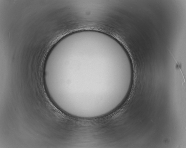 X0000112150673200908071003