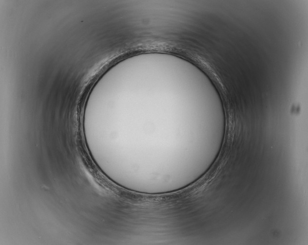 X0000112150674200908071003