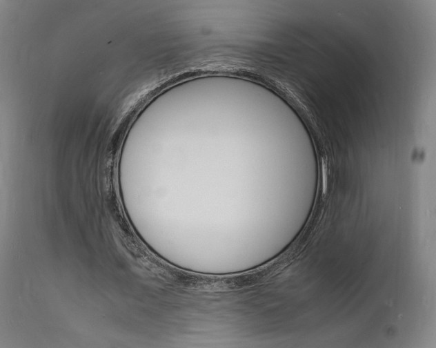 X0000112150675200908071003