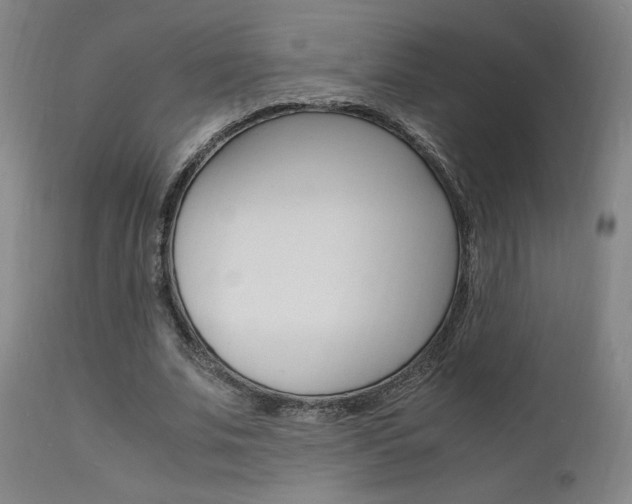 X0000112150679200908071003