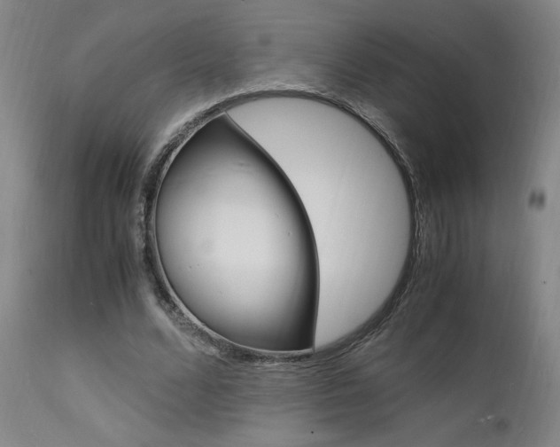 X0000112150680200908071003
