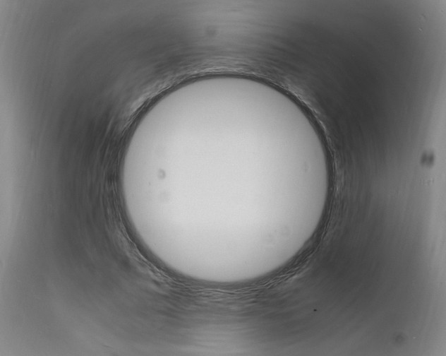 X0000112150681200908071003