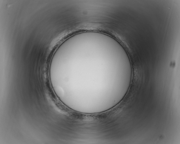 X0000112150682200908071003