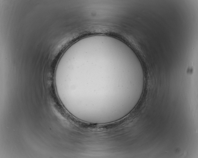 X0000112150683200908071003
